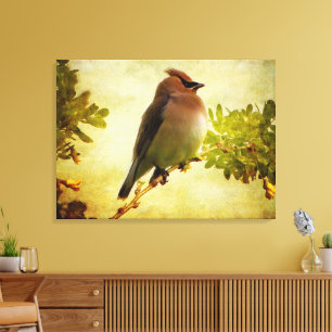 Texturierte Cedar Waxwing Stretch Canvas Print Leinwanddruck