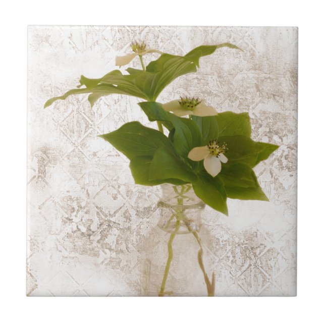 Texturierte Dogwood Bunch Berry in Jar Stillleben Fliese (Vorderseite)