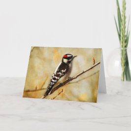 Texturierte Downey Woodpecker Grußkarte Karte