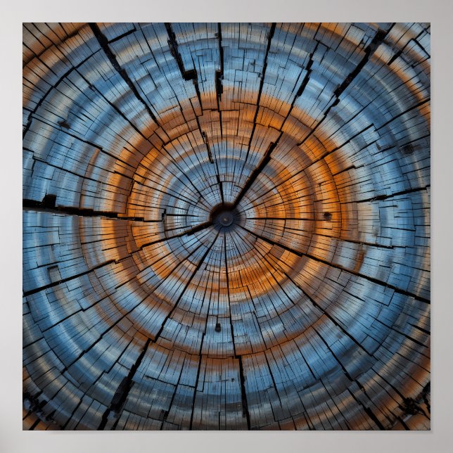 Texturierte Holzkörner - Naher Baumring Poster (Vorne)