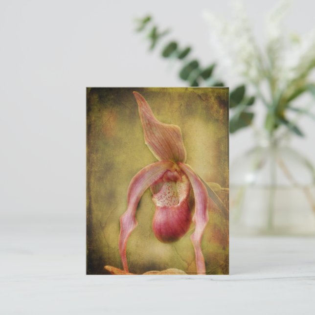 Texturierte Lady Slipper Orchid Postkarte (Stehend Vorderseite)
