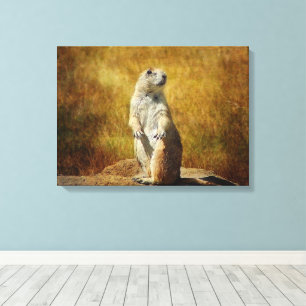 Texturierte Prärie Dog Canvas Print Leinwanddruck