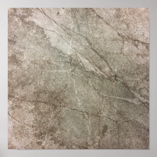 Texturtexturierte, alte Oberfläche gegerbt Poster (Vorne)