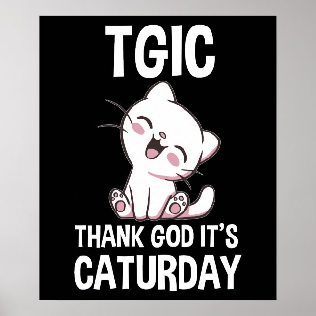 TGIC Gott sei Dank ist Caturday Poster (Vorne)