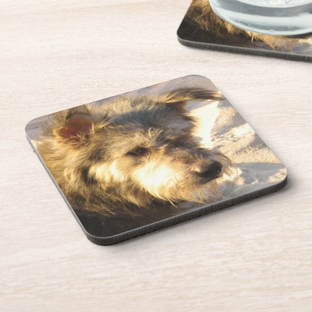 Thai Beach Dog Getränkeuntersetzer (Linke Seite)