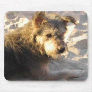 Thai Beach Dog Mousepad
