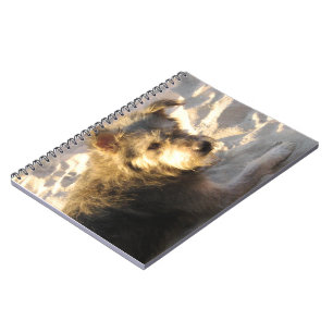 Thai Beach Dog Notizblock