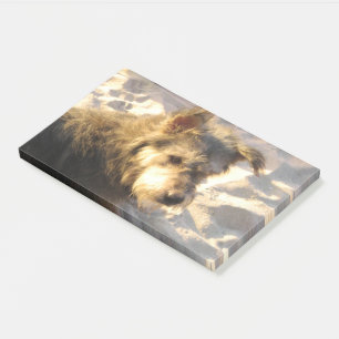 Thai Beach Dog Post-it Klebezettel