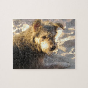 Thai Beach Dog Puzzle
