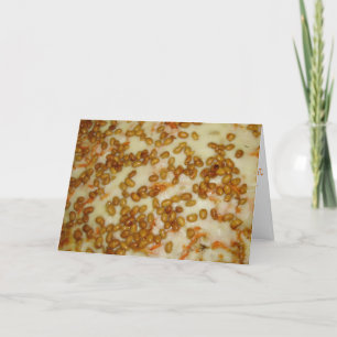 "Thai Chicken Pizza" Geburtstagskarte Karte