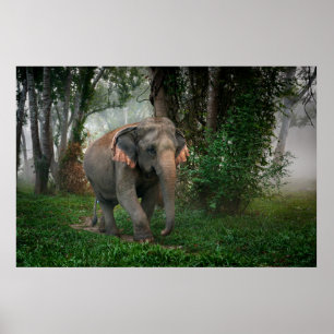 Thai Elephant Poster