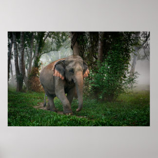 Thai Elephant Poster