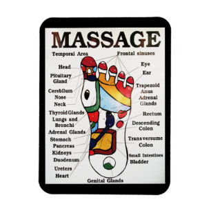 Thai Foot Massage ~ Reflexology map Magnet