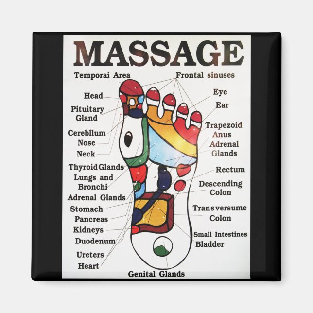 Thai Foot Massage ~ Reflexology map Magnet (Vorne)