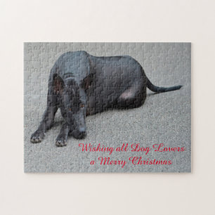 Thai Ridgeback Hunde Jigsaws. Puzzle