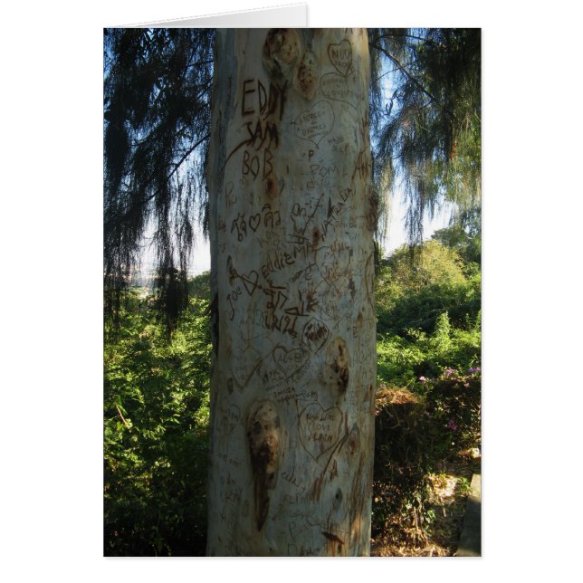 Thai Tree Graffiti Card (Vorne)