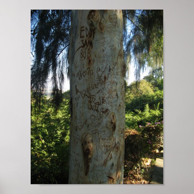 Thai Tree Graffiti Poster (Vorne)