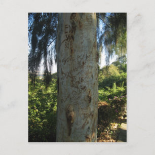 Thai Tree Graffiti Postkarte