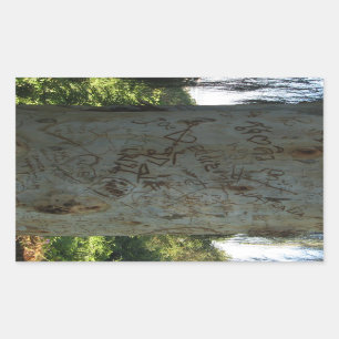 Thai Tree Graffiti Rechteckiger Aufkleber