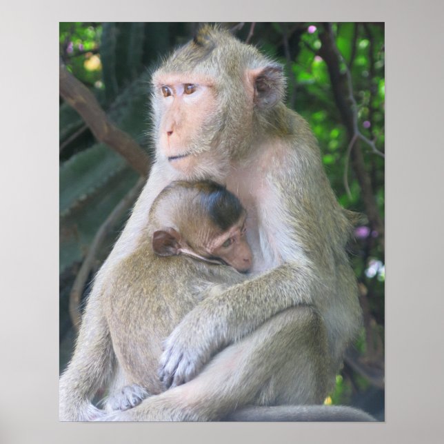 Thailand-Affenmutter und Kind umarmen sich Poster (Vorne)