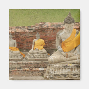 Thailand, Ayutthaya. Statuen sitzender Buddhas Magnet