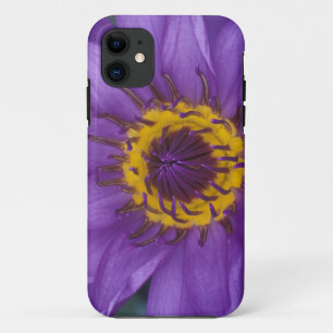 Thailand, Bangkok, lila und gelbe Lotusblume Case-Mate iPhone Hülle