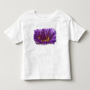 Thailand, Bangkok, Lila und gelbe Lotusblüte 2 Kleinkind T-shirt