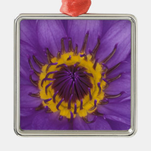 Thailand, Bangkok, Lila und gelber Lotus Ornament Aus Metall