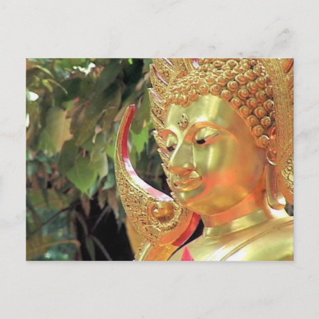 Thailand Buddha Postkarte (Vorderseite)