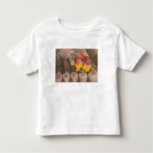 Thailand, Buddhas Füße und Marigold-Angebot Kleinkind T-shirt