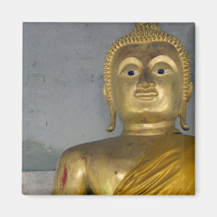 Thailand, Insel Ko Samui alias Koh Samui). Magnet