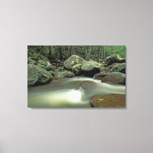 Thailand, Kohsamui Insel, Regenwaldlandschaft. Leinwanddruck