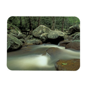 Thailand, Kohsamui-Insel, Regenwaldlandschaft. Magnet