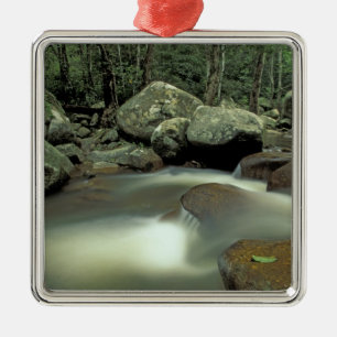 Thailand, Kohsamui Insel, Regenwaldlandschaft. Ornament Aus Metall