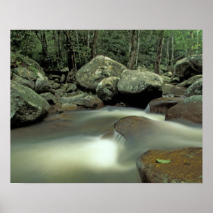Thailand, Kohsamui-Insel, Regenwaldlandschaft. Poster