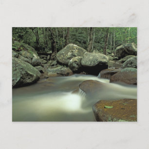 Thailand, Kohsamui Insel, Regenwaldlandschaft. Postkarte