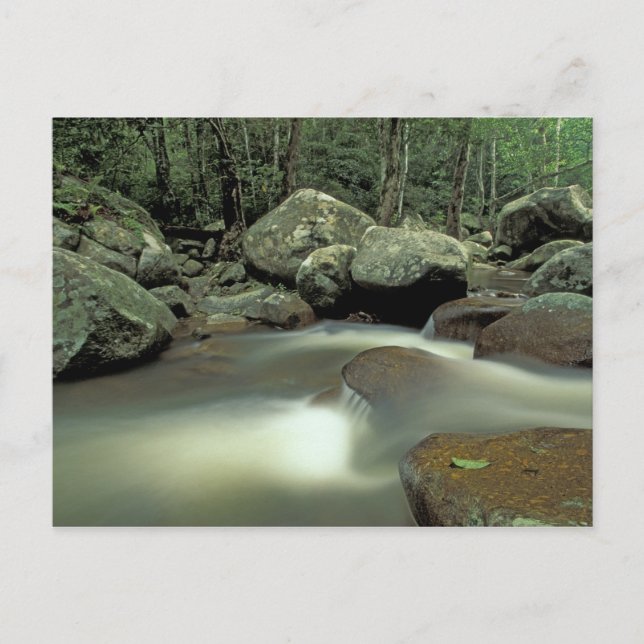 Thailand, Kohsamui Insel, Regenwaldlandschaft. Postkarte (Vorderseite)