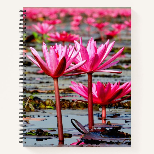 Thailand - Kumphawapi Lotus Lake Notizbuch (Vorderseite)