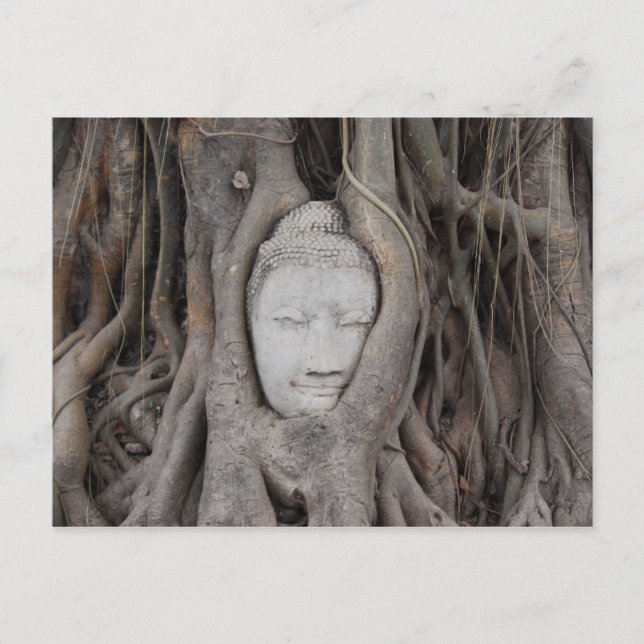 Thailand Leiter von Buddha, umgeben von Bäumen Postkarte (Vorderseite)