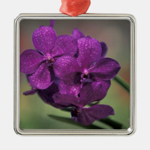 Thailand, Nordthailand, nahe Chang Mai, Mae Ornament Aus Metall