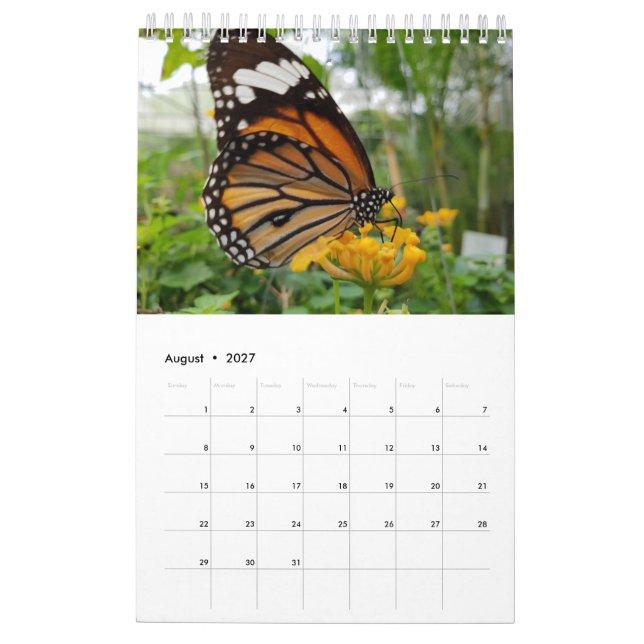 Thailand-Schmetterlinge Kalender (Aug 2027)
