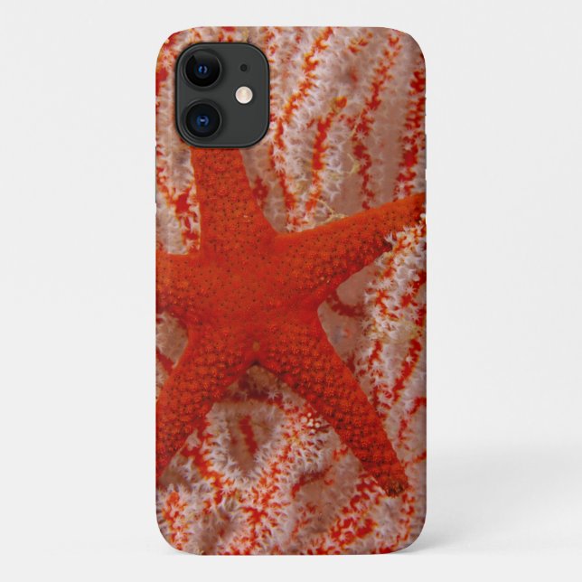 Thailand, Sea Star Aka Starfish Case-Mate iPhone Hülle (Rückseite)