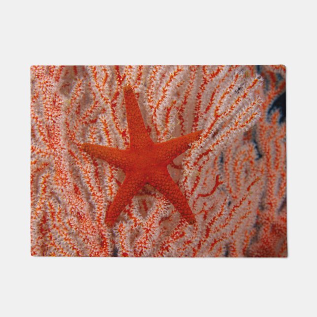 Thailand, Sea Star Aka Starfish Fußmatte (Vorderseite)