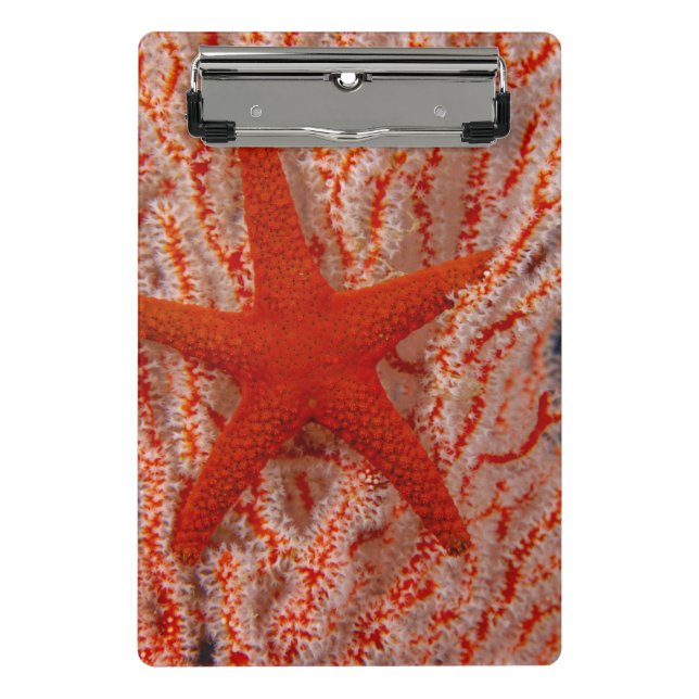 Thailand, Sea Star Aka Starfish Mini Klemmbrett (Vorderseite)