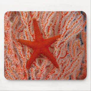 Thailand, Sea Star Aka Starfish Mousepad