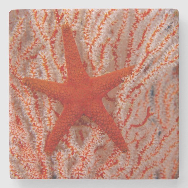 Thailand, Sea Star Aka Starfish Steinuntersetzer (Vorderseite)