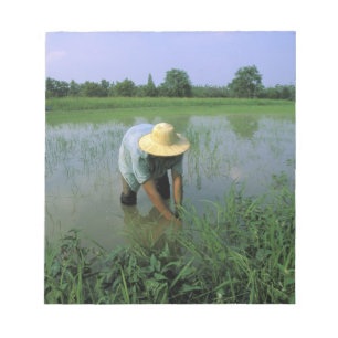 Thailand, Sukhothai. Reis-BauerHERR Notizblock