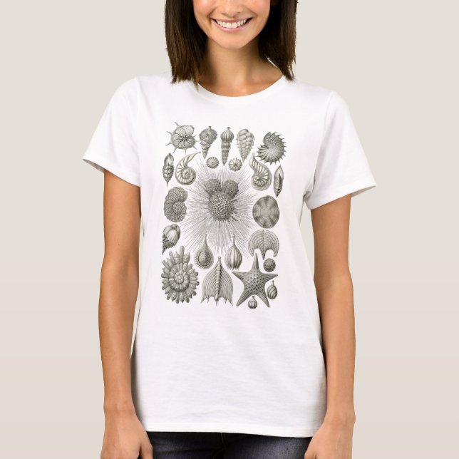 Thalamophora T-Shirt (Vorderseite)