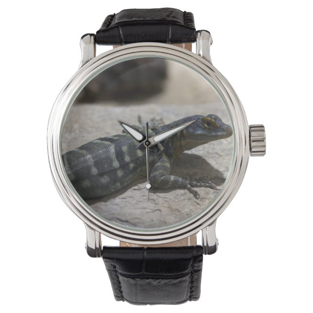Thalassinus Armbanduhr (Vorderseite)