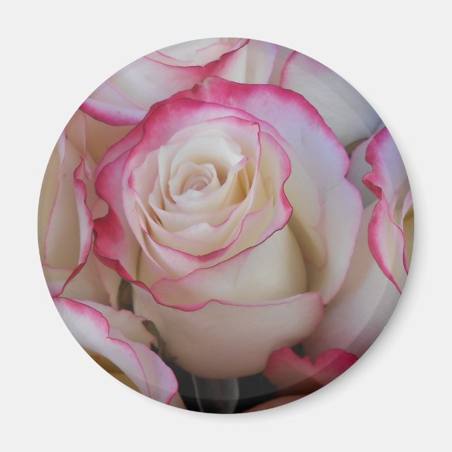 Thamar Magnet (Vorne)